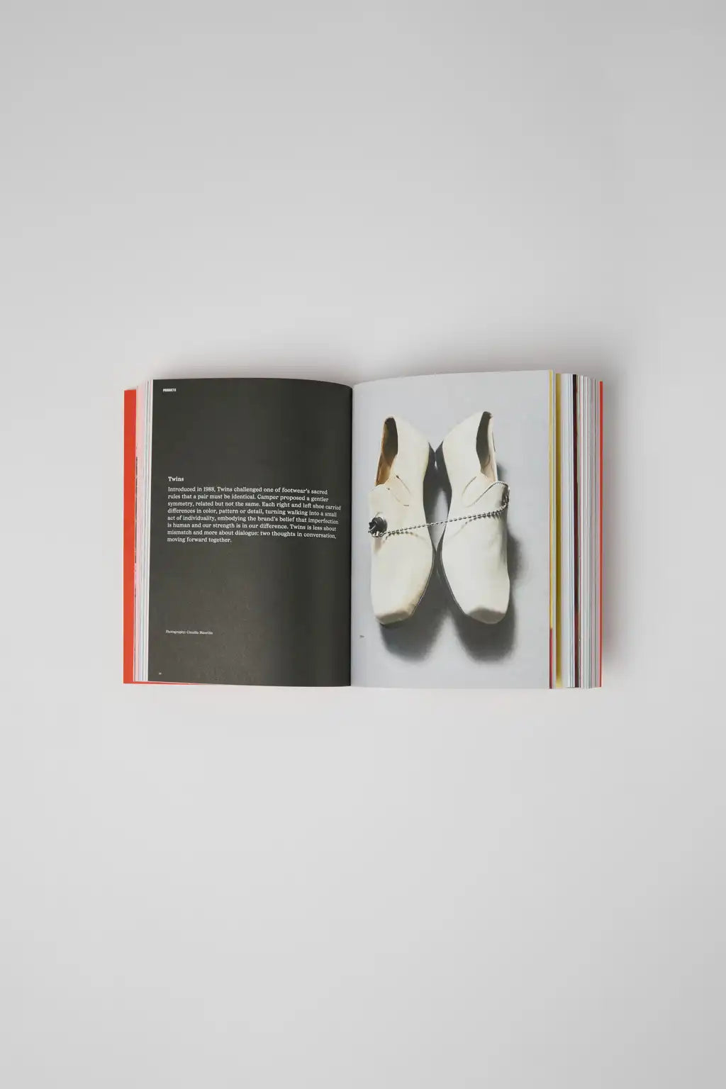 "The Walking Society: Now More Than Ever" Book Camper book