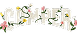 camperus.it.com
